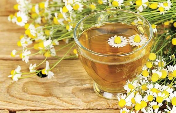 Chamomile Tea Powder-Exporters in India