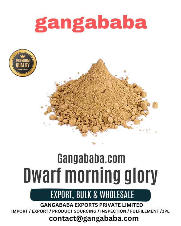 Dwarf morning glory-Exporters in India