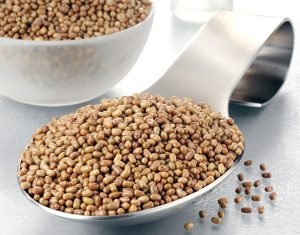 Black Soybeans Exporters in India