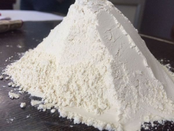 White Onion Powder Exporters in India