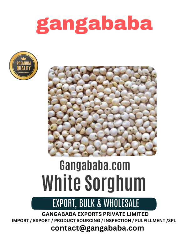 White Sorghum Exporters in India