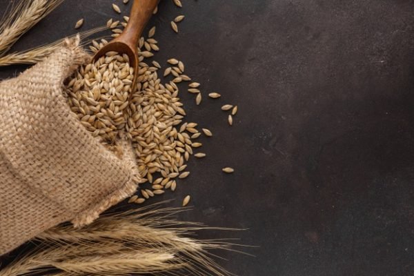 Whole Wheat Grain Exporters in India