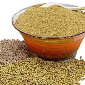 Dhaniya Jeera Powder Exporters in India