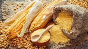 Corn Powder Exporters in India
